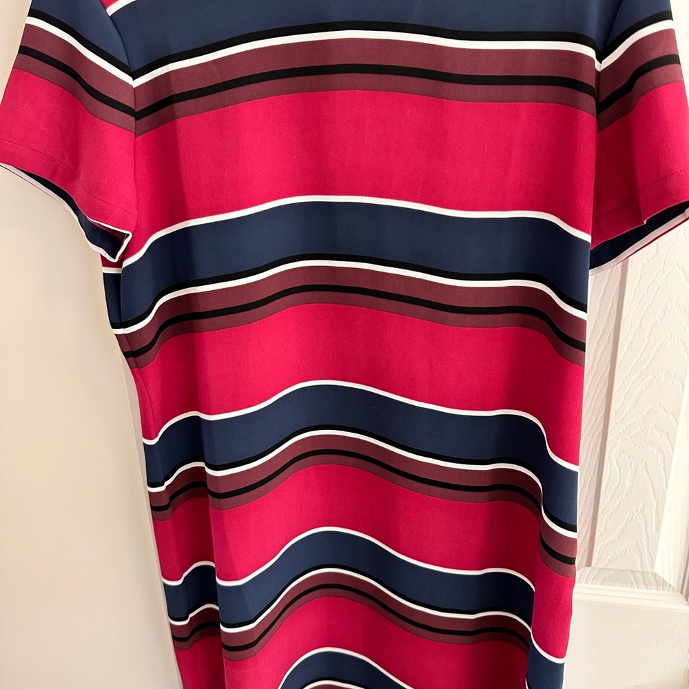 Adrienne Vittadini Blue and Pink striped dress
